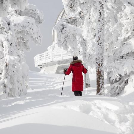 Chalets Du Domaine - De Luxe Notre-Dame-Des-Bois Экстерьер фото
