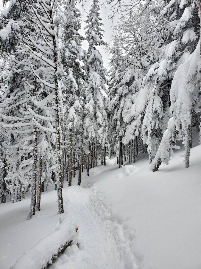 Chalets Du Domaine - De Luxe Notre-Dame-Des-Bois Экстерьер фото