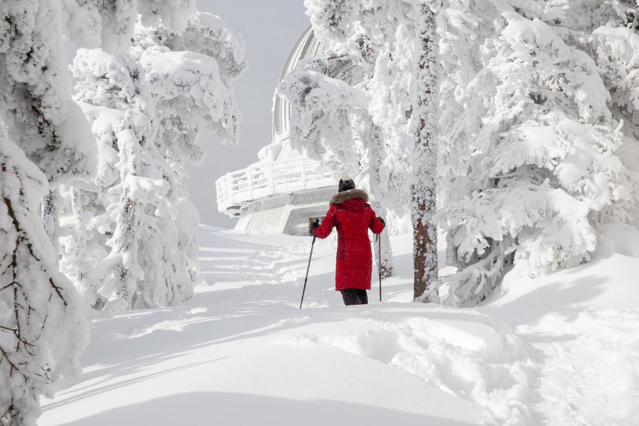 Chalets Du Domaine - De Luxe Notre-Dame-Des-Bois Экстерьер фото