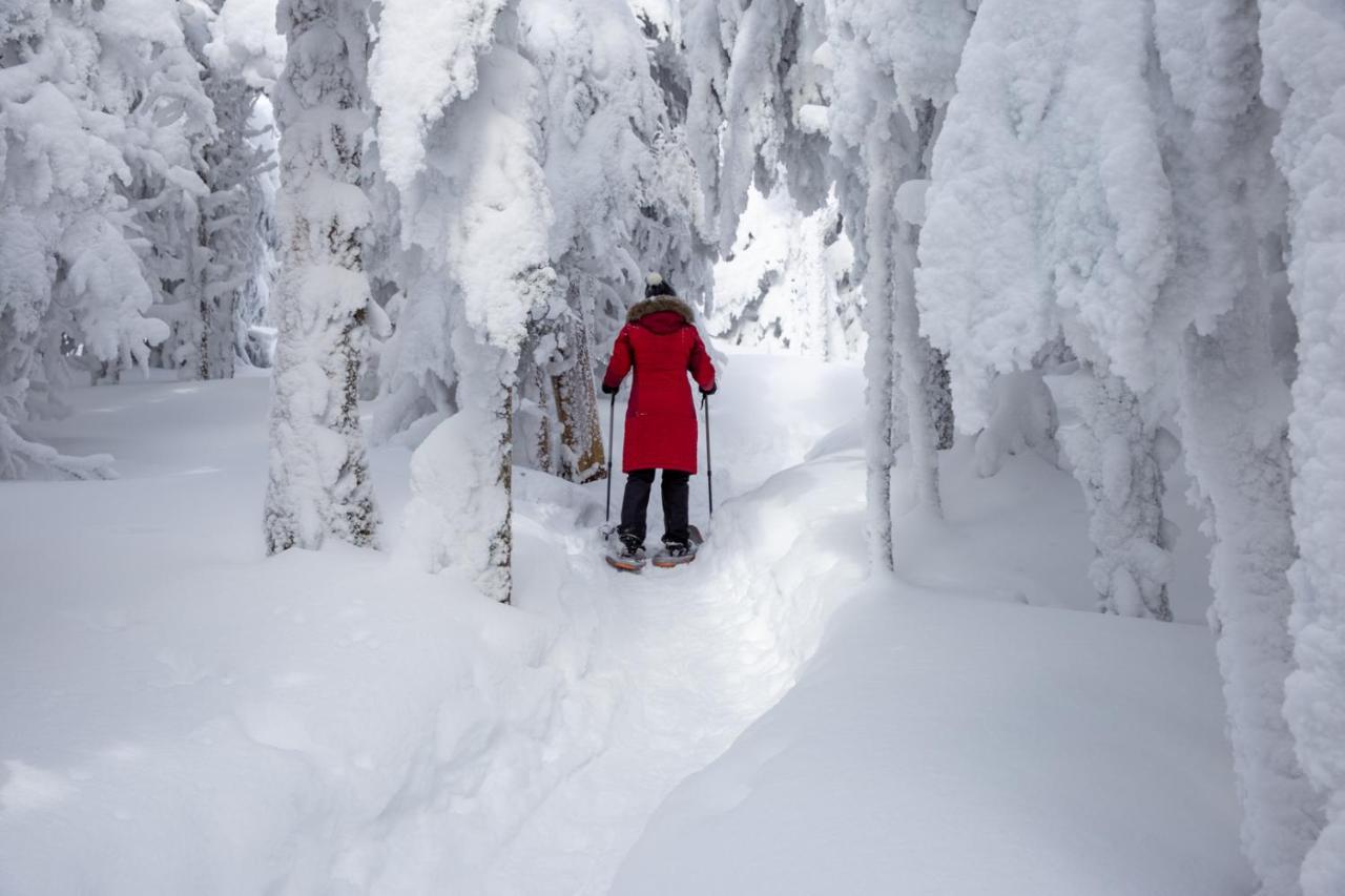 Chalets Du Domaine - De Luxe Notre-Dame-Des-Bois Экстерьер фото